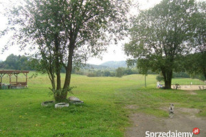 Oferta sprzedaży lokalu 500m2 Wałbrzych