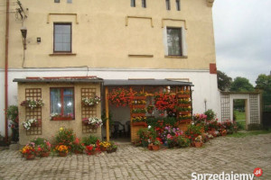 Oferta sprzedaży lokalu 500m2 Wałbrzych