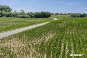 działka nad jeziorem objęta planem zagospodarowania