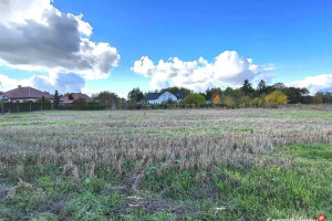 Grunt Jakubowice Konińskie-Kolonia 1000m2