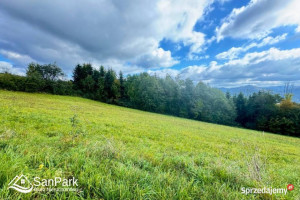 Grunt 3900m2 Wołkowyja