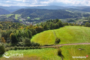 Grunt 3900m2 Wołkowyja