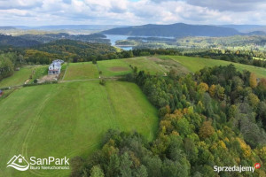 Grunt 3900m2 Wołkowyja