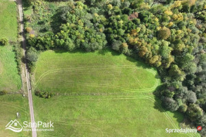 Grunt 3900m2 Wołkowyja