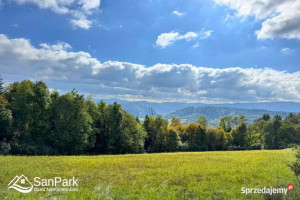 Grunt 3900m2 Wołkowyja