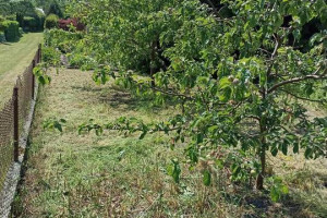 Działka rekreacyjna / ogrodowa ROD ul. Harcerska Konin