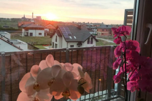 Oferta wynajmu mieszkania Siemianowice Śląskie 38m2 1-pokojowe