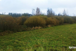 Działka na Mazurach nad jeziorem Grom (niedaleko Szczytna)