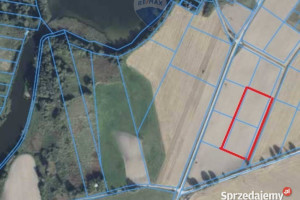 Duże działki blisko Jeziora Margonin