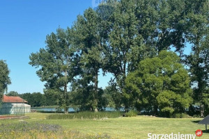 Duże działki blisko Jeziora Margonin