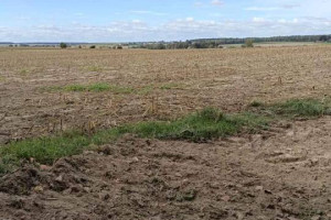 Sprzedam działkę budowlaną w Wierciszowie