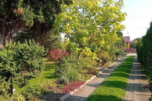 PILNA SPRZEDAŻ DOMU