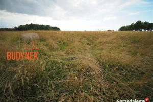 Działka rolna - Rusinowo