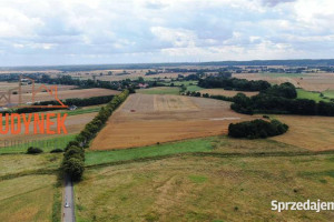 Działka rolna - Rusinowo