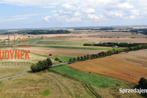 Działka rolna - Rusinowo