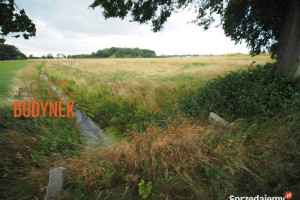 Działka rolna - Rusinowo