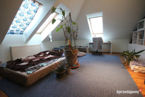 7pok, 230met, okolice Wierzbowej GARAŻ/OGRÓD/2005 (Długołęka)