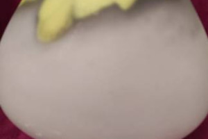 TARNOWIEC WAZON UNIKAT
SZKŁO MATOWE MROŻONE Z KOLOROWYMI DET