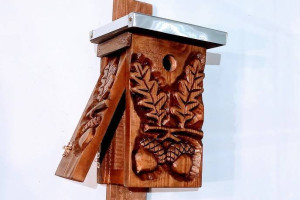 domek dla ptaków, budka lęgowa
