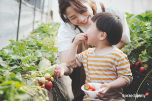 Agrotkanina tkanina MATA NA CHWASTY 0,8x100 od AJJ