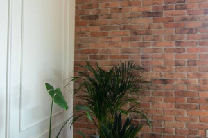 Płytki ceglane, stare cegły, lico cegły na ścianę i Elewację