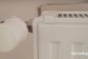 Stalowy grzejnik płytowy Cosmo 90 × 60 + głowica termostatyczna