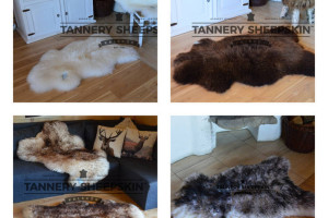 SKÓRA OWCZA-SKÓRY OWCZE Naturalne Producent 4 Kolory XXXL