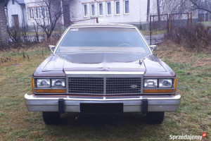Ford LTD Crown Victoria 5,0 V8 1978