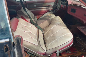 Buick Riviera do pełnej renowacji