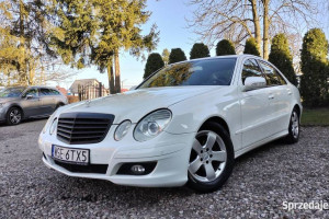 7g tronik , zimow wojownik