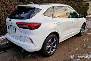 Ford Escape (Kuga) 2.0 benzyna 252 KM, automat, ST-Line