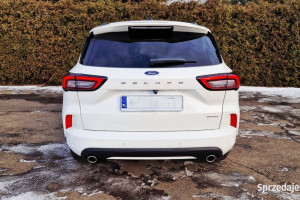 Ford Escape (Kuga) 2.0 benzyna 252 KM, automat, ST-Line
