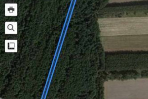 Sprzedam las około 100 letni 69 arów