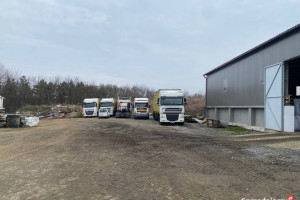 Syndyk sprzeda ciągnik siodłowy marki DAF XF 460