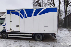 Daf LF 45-170