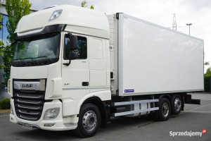 DAF XF 480 Euro 6 / 2021 / Chłodnia Lamberet / Carrier Vector 1550_221299