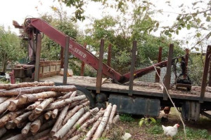 DAF CF 75 stan bardzo dobry