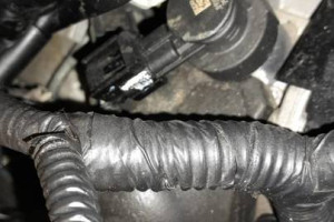 Silnik Ford Transit Custom NAPRAWA WYMIANA SERWIS BRATFORD