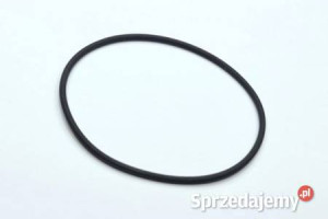O-ring kołnierza Iveco EuroCargo Tector - do pompy wysokiego ciśnienia pal…