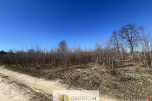 Działka pod budowę domu I 3104 m2 I gm. Lubichowo