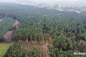 Grunt Gorzakiew 27000m2