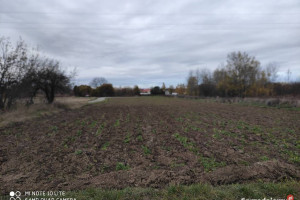 Działka rolna w Sandomierzu