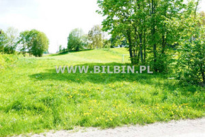 Grunt do sprzedania Supienie 3932m2
