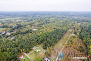 Ogłoszenie grunt Nowa Bukówka 133548m2