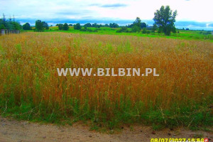 Grunt 3700m2 Olszanka