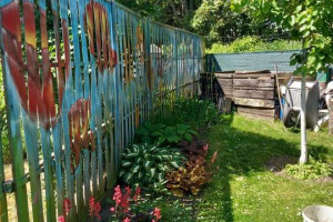 Ogórdek działkowy ROD Walczaka