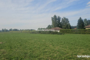 Oferta sprzedaży działki Cholerzyn 800m2