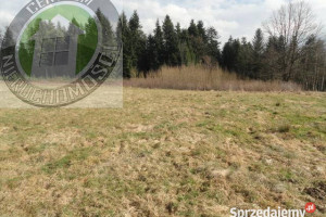 Grunt 3032 metry Paszyn