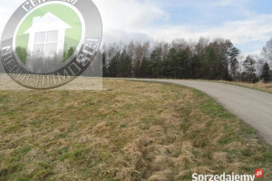 Grunt 3032 metry Paszyn