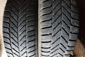 Opony zimowe Dębica Frigo, 2, 175/65/14 z 2013